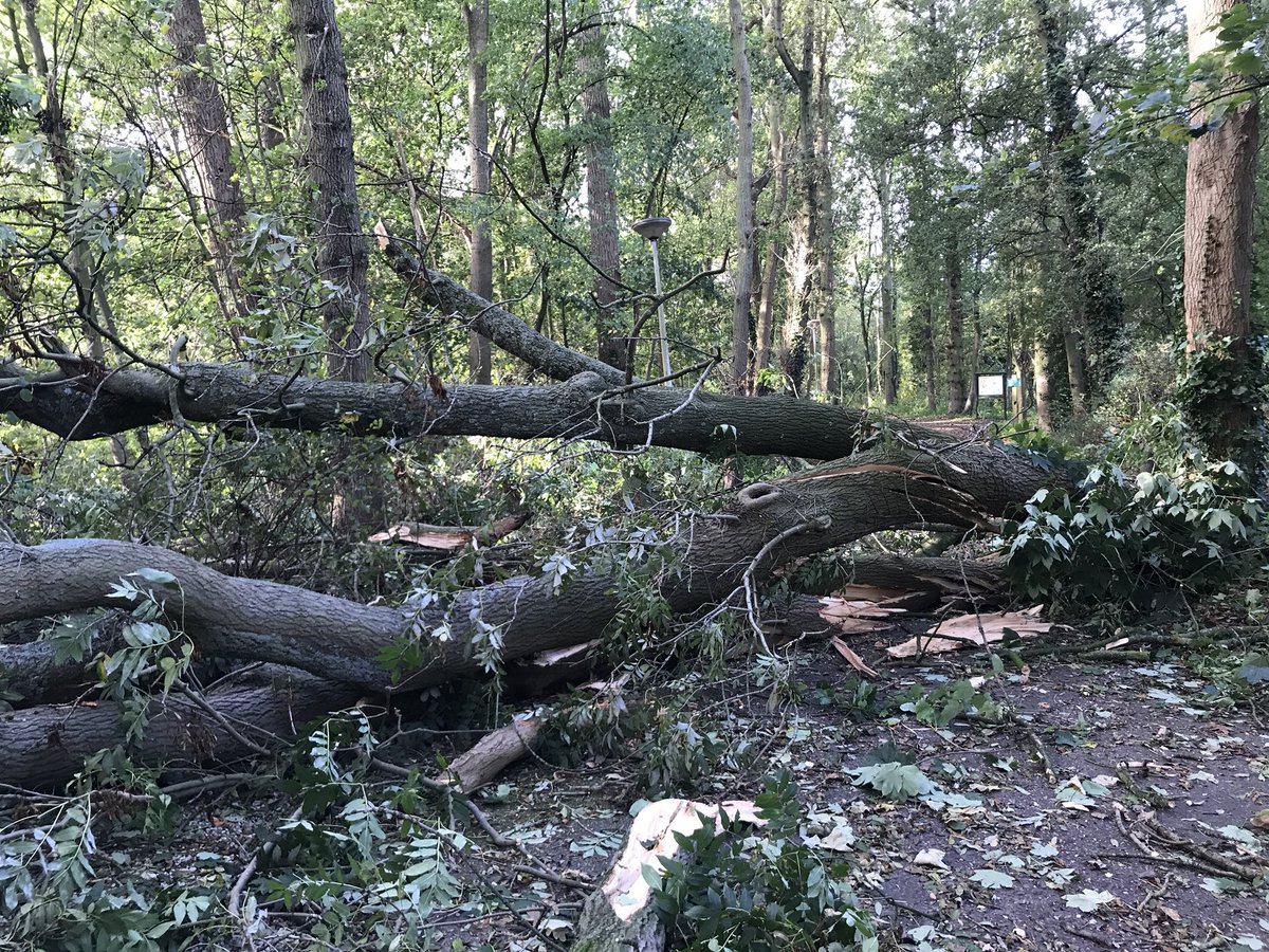 Stormschade 29/10/17 #Rhijngeest #Oegstgeest <a href="/gem_oegstgeest/">Gemeente Oegstgeest</a> <a href="/ZHLandschap/">Zuid-Hollands Landschap</a>
