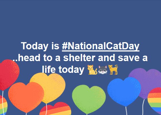 #NationalCatDay 🐱🐈

Head to Your Local #NoKillShelter and Save a Life Today 😻