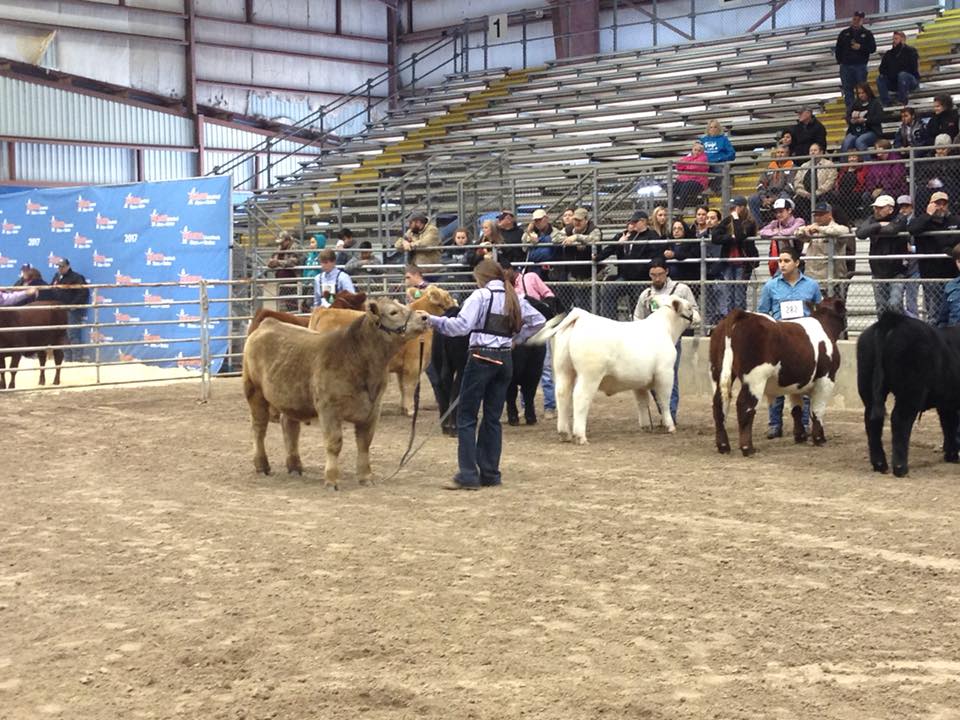 ctboleman's tweet image. Fantastic weekend with the HLSR Scramble Progess Show &amp;amp; 2 fundraisers. Our volunteers are gearing up!  The ENERGY is CONTAGIOUS!