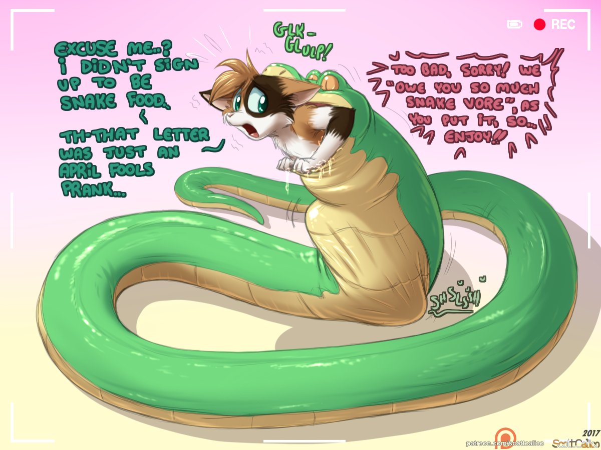 Scott Calico on X: D1sc0very Channels Revenge (12) Patreon Idea Pile  submission from Vander t.cofBBhAQ8nZg  X