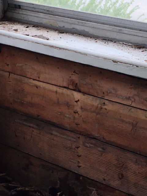 tgrierreed's tweet photo. @AskTOH  Asphalt shingles are off the walls of our front porch. What we found: Shiplap? Do we need to cover w/ vapor barrier &amp; more shiplap? https://t.co/CKDCcGlaqE