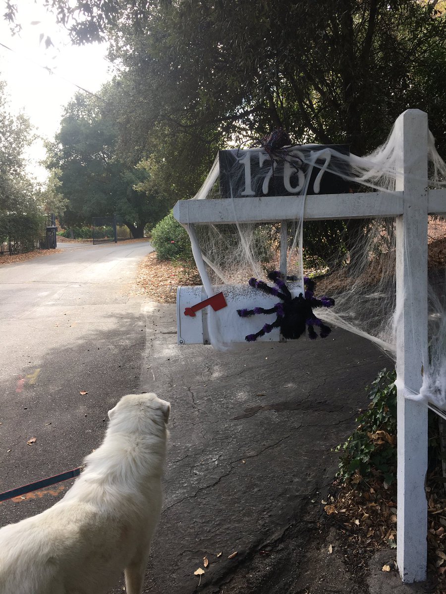 Happy #Halloween :)
kollectbox.com