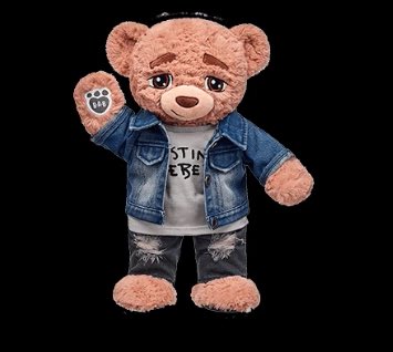 smilebraeden's tweet photo. I need #Biebear https://t.co/aXJMvZ7qHr