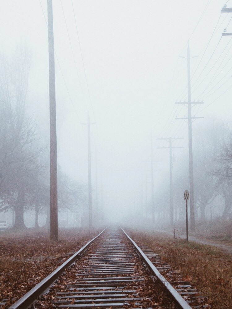 The Arbutus Greenway has always been a magical place! Lots of great  ideas this weekend to keep it that way! #arbutusgreenway #Vancouver