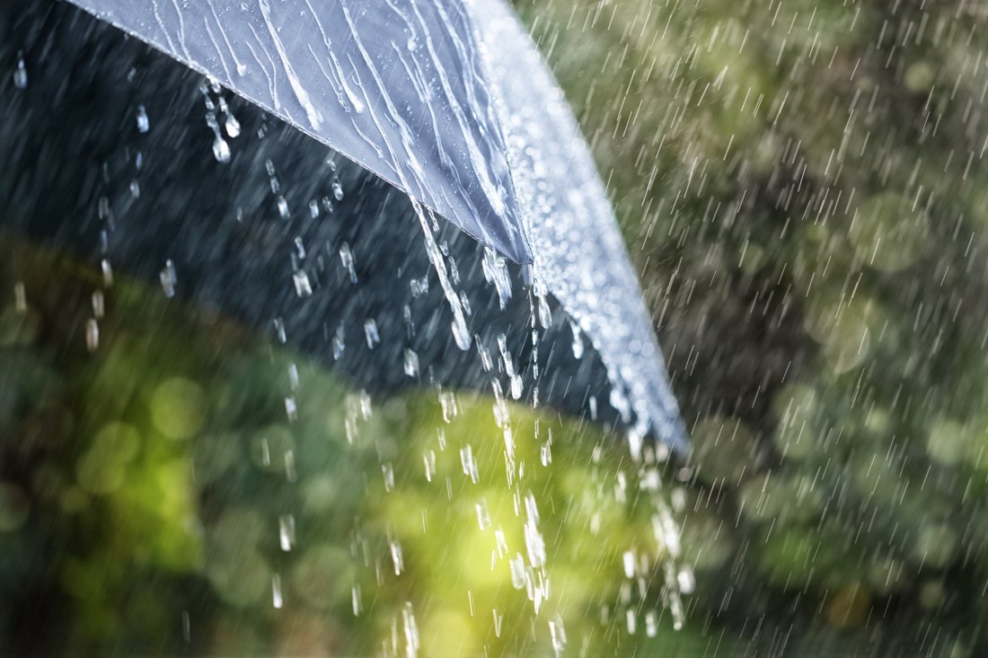 Nieuwsblad_be's tweet photo. Veel regen op komst: “De komende maanden worden natter dan normaal” https://t.co/YHyBgmRVa3 #nieuwsblad https://t.co/eFrV7TSiWv