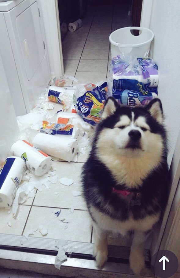 dramatic_german's tweet image. Du bist diejenige, die mich verrückt macht คุณคือคนที่ทำให้ฉันแทบบ้า