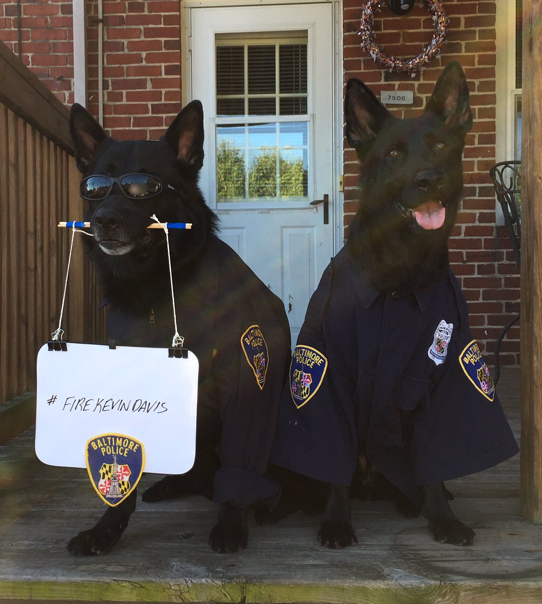 Leistunghund's tweet photo. Hold your head up high Officer Goodson..you always have our support..be strong 💙💪🏻💙

#istandwiththebaltimore6 
#firekevindavis https://t.co/yHbA3RFRTA