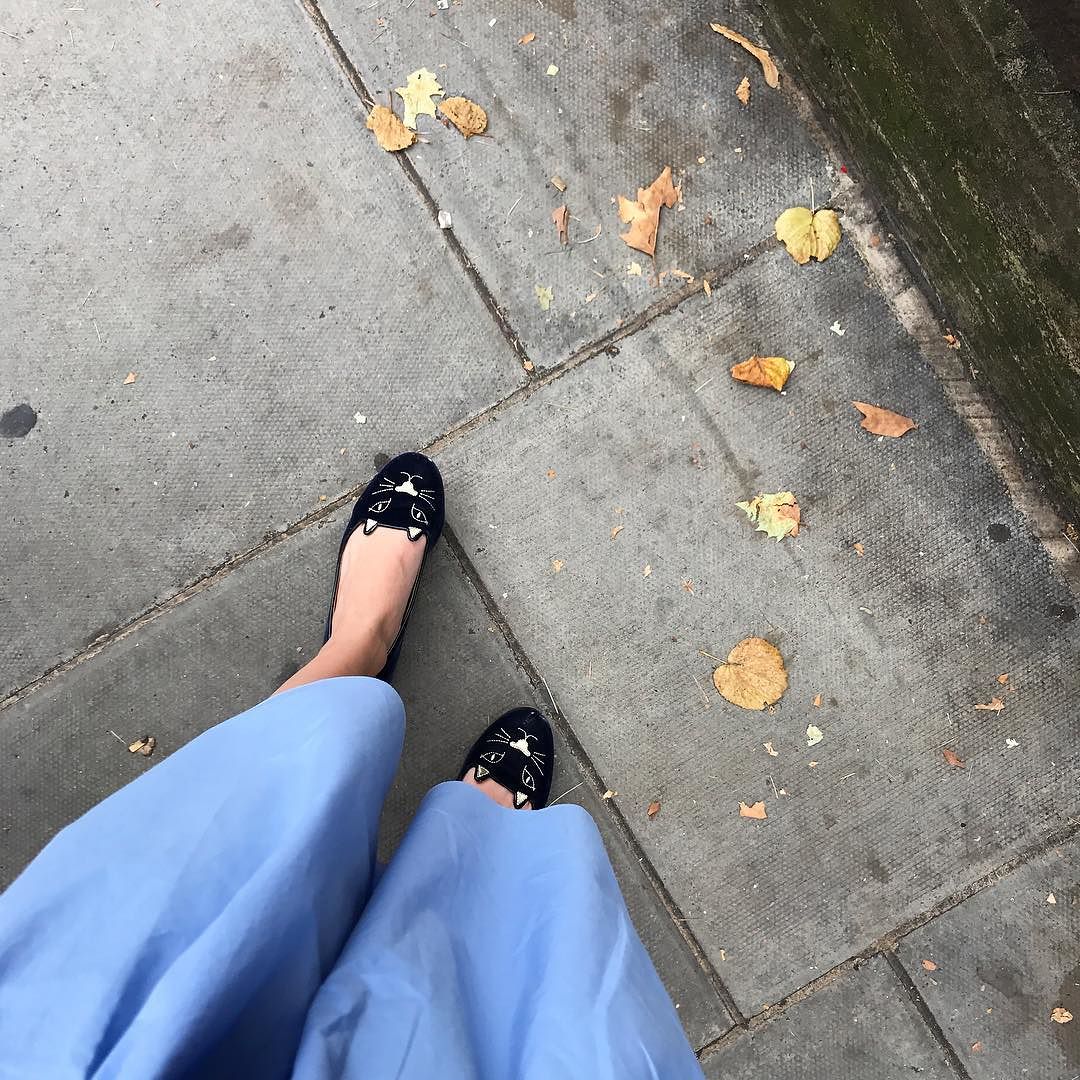charlottes_web's tweet photo. #CaughtInCharlottesWeb, featuring the ’Kitty Flats’. Shop the best Instagram looks: https://t.co/FwzjXNb2s0 https://t.co/xDalaRLC6u