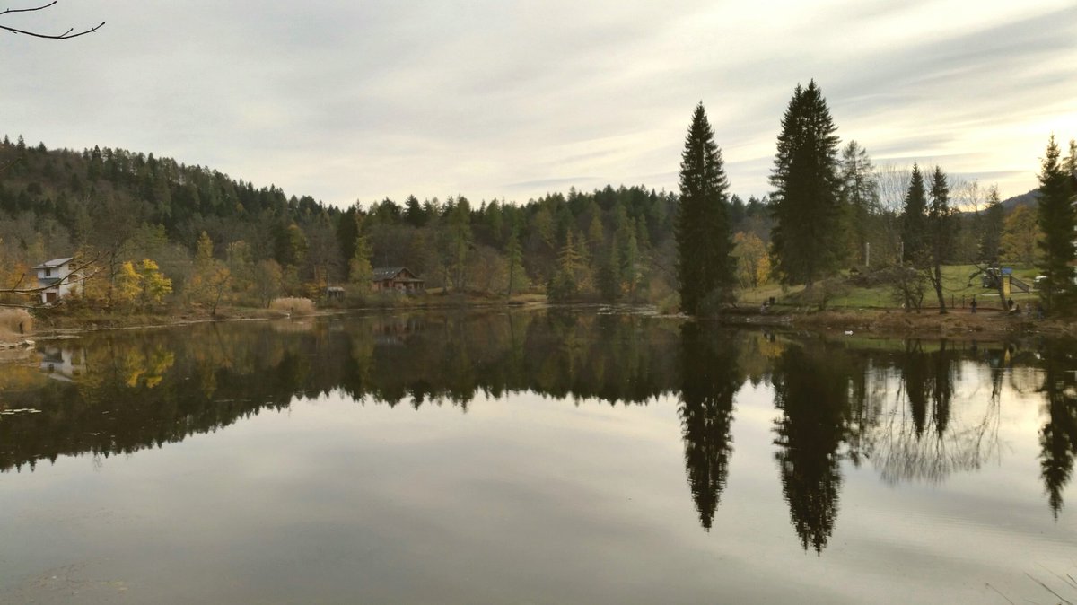 TrentinoGo's tweet photo. Simmetrie al lago di Cei #vallagarina #trentino #lago https://t.co/7PcHfSrnod
