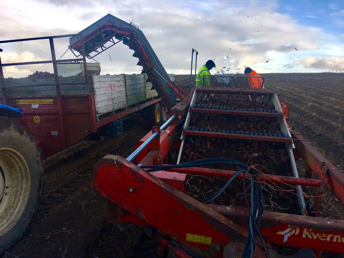 Brake_Farm's tweet photo. Finally dry enough to move. Hopefully it lasts https://t.co/ctyKGzpLWW