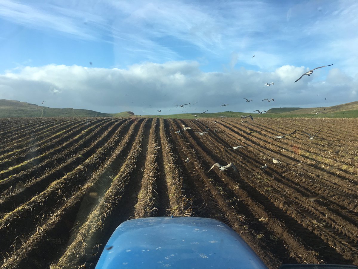 Brake_Farm's tweet photo. Finally dry enough to move. Hopefully it lasts https://t.co/ctyKGzpLWW