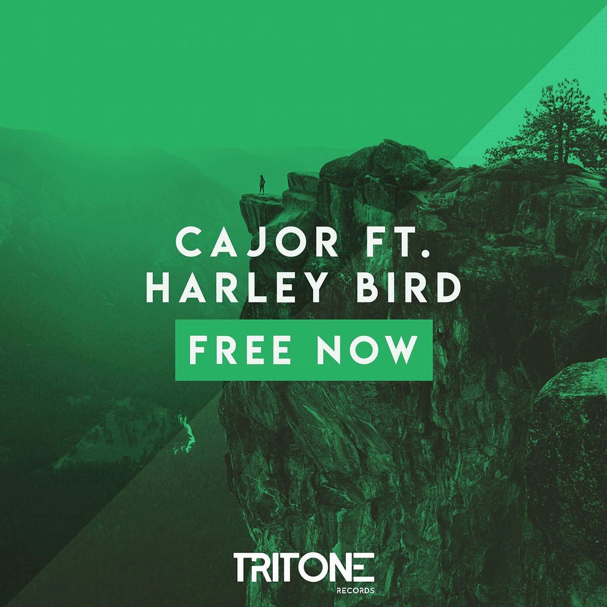 CAJOROFFICIAL's tweet photo. ‘Free Now’ with @harleybirdmusic is available on the 3rd of november on @tritonerec !
#excited #music #progressive https://t.co/9EVVXluX3h