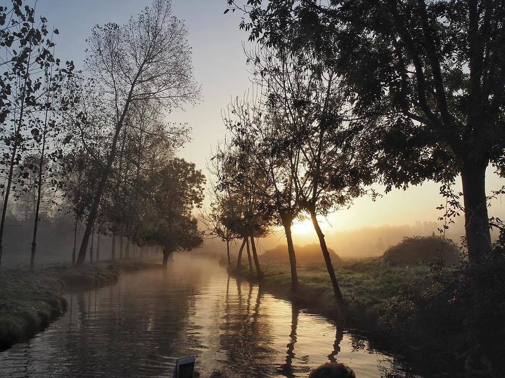 HalluciNantes's tweet photo. Quand soudain, il apparaît. .
#igersfrance #igrecommend #gf_france #ig_france #loves_france_ #super_france #bns_f… https://t.co/9qebjkxtbD https://t.co/60gdxHupFc