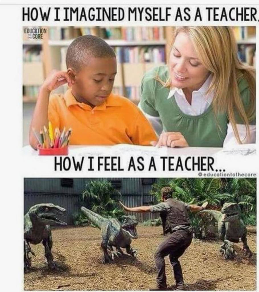 angietorre_best's tweet photo. How is your #SpanishOne class doing this year? How much of the #targetlanguage have you been able to use? https://t.co/oc2YWhXTEP