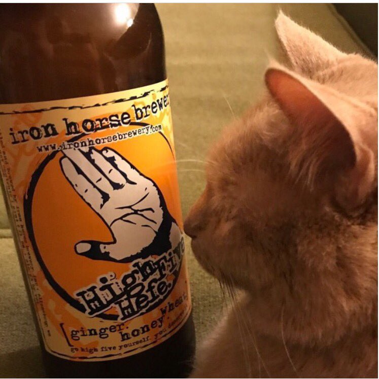 IronHorseBeer's tweet photo. #NationalCatDay #highfivehefe #brewcat https://t.co/sSMrnNZxng