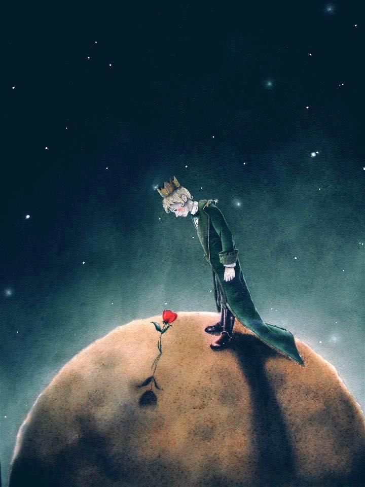 ... Šta je usamljenost? - pita Mali Princ.
- To je susret sa sobom i ne bi trebalo da bude razlog za tugu, samo trenutak razmišljanja.