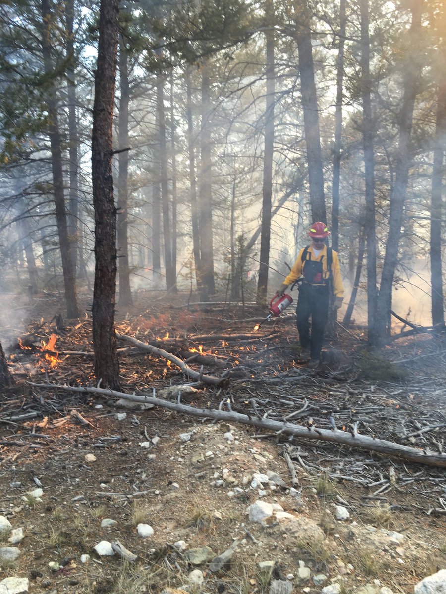 ChaffeeOEM's tweet photo. Buena Vista fire assisting in the Mt Shavano RX. https://t.co/eOjocHzxWa