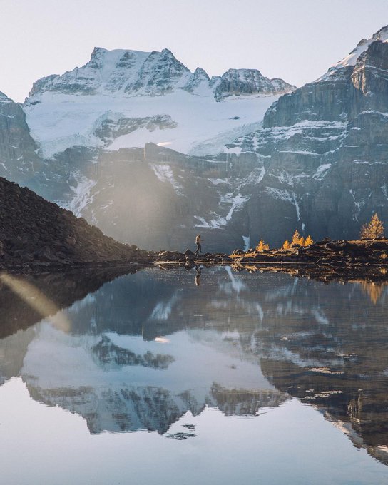 View image on Twitter