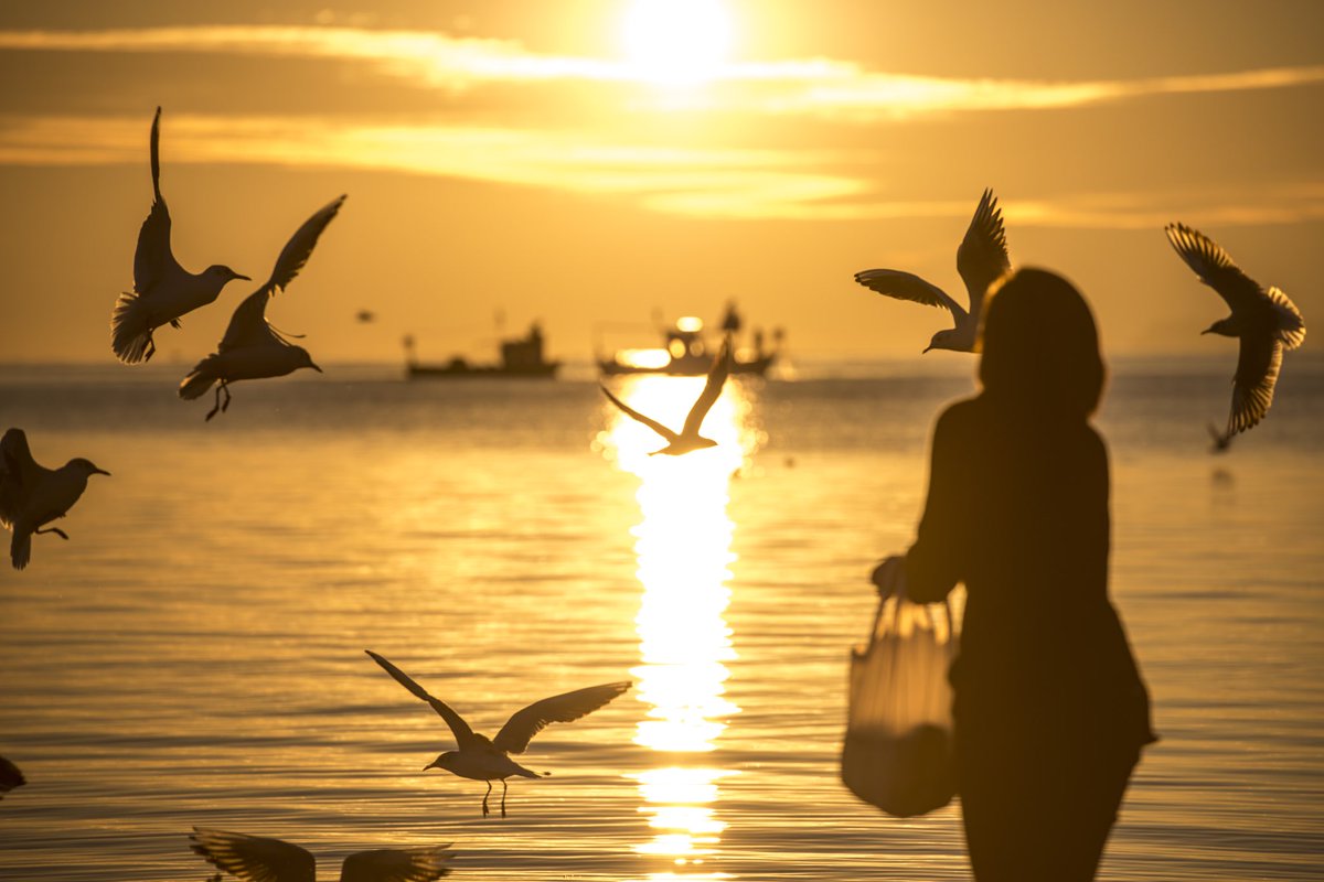 erhan sinmaz (@sinmazerhan) on Twitter photo 