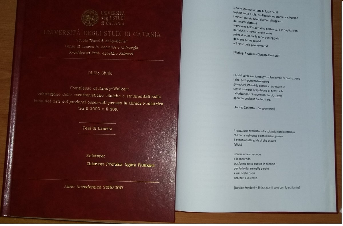 Giulio Di Dio tweet media
