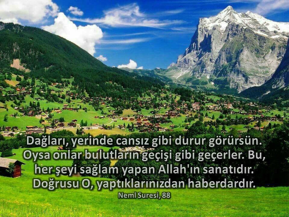 180ülkede 
ümit tomurcukları açmış
sibiryada kardelen 
uzak doğuda ıhlamur
Güney Amarikada orkide 
OLARAK AÇMIŞTIR,Allahım,Bunları soldurma