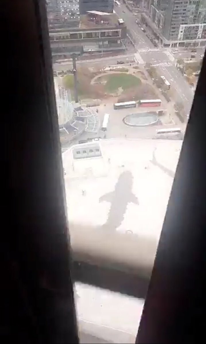raneenjabir12_2's tweet photo. قمرنا الغالي في #CN_tower اعلى برج في #تورنتو #كندا يا رب كل اوقاتك سعاده #شو_الفكره @Yacoub_Shaheen https://t.co/V22GZw5Dqw