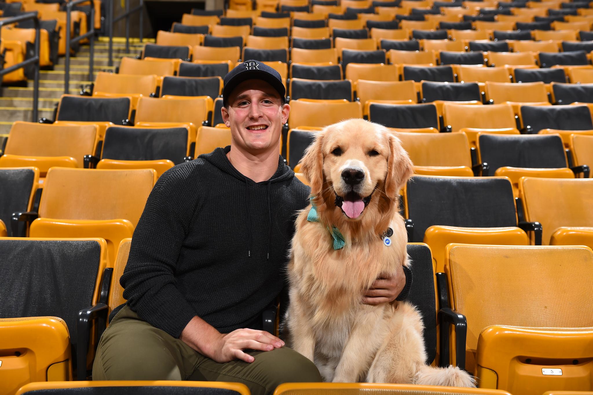 boston bruins pet jersey