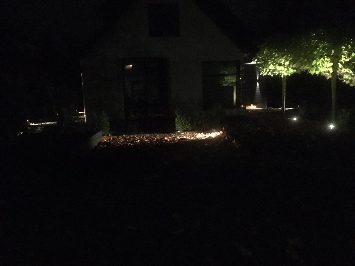 Planten hebben een positief effect op hun omgeving. Geef ze daarom ook ’s avonds de aandacht die ze verdienen door buitenverlichting.