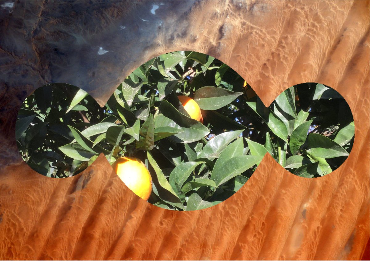 govi47's tweet image. #spac3 #food