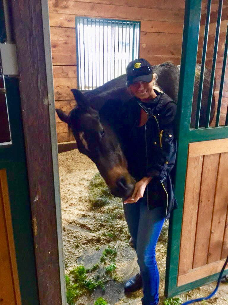 ladererstables's tweet photo. #Metaurus at ReRun my horse Therapy https://t.co/WWJTYW3Yoq