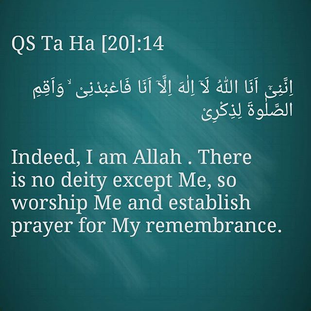 #quran #muslim #hereafterisreal #Truth