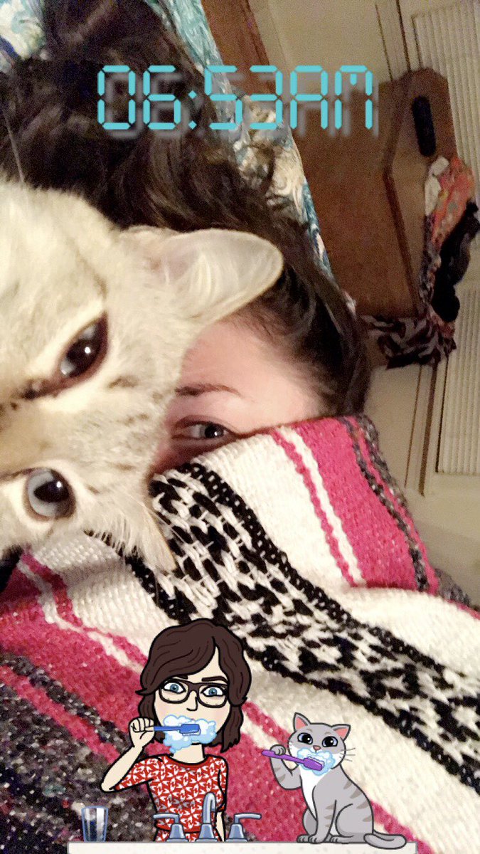 e__figgy's tweet photo. #NationalCatDay #EdAndEm https://t.co/Bw8hfrELGr