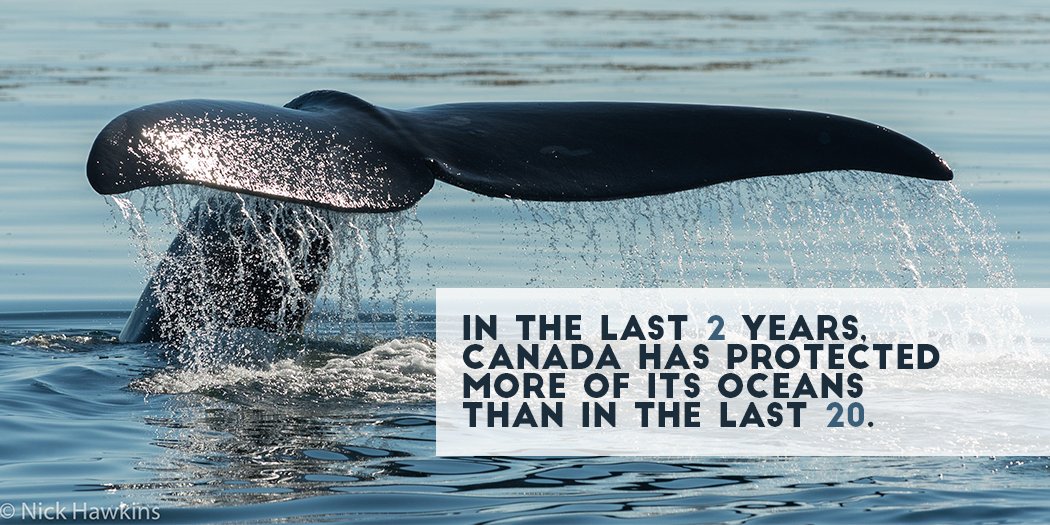 EcologyAction's tweet photo. Canada announced yesterday that it met its interim target for protecting 10% of coastal/marine environment by 2020! https://t.co/sllfBkYVil https://t.co/iCEOxWBN7n