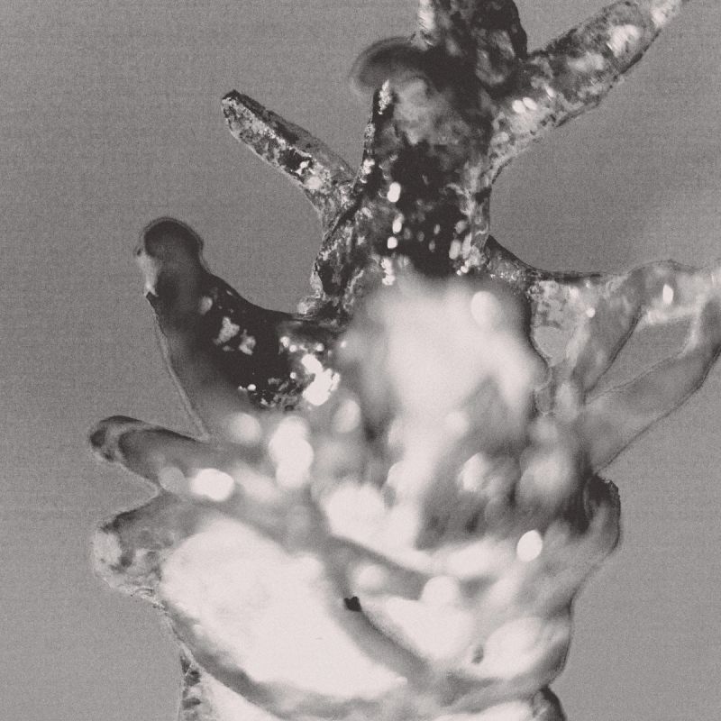 The Lumes laat het bloed uit de oren sijpelen. Stukje over Envy: planettrash.nl/?e=1413