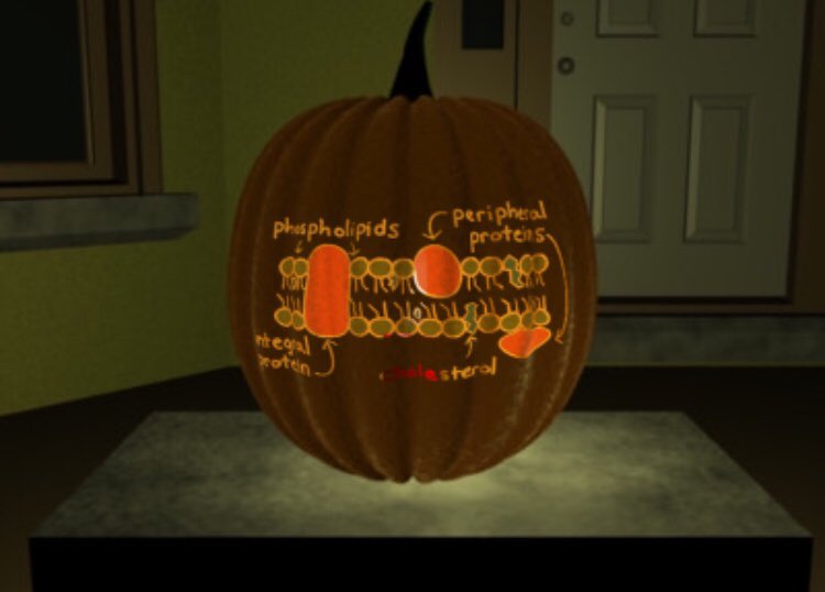CellMembrane018's tweet photo. With Halloween approaching, we decided to join in on the festivities! #lmhsorganelle2017 #cellmembraneftw https://t.co/QqZpZlT2jc