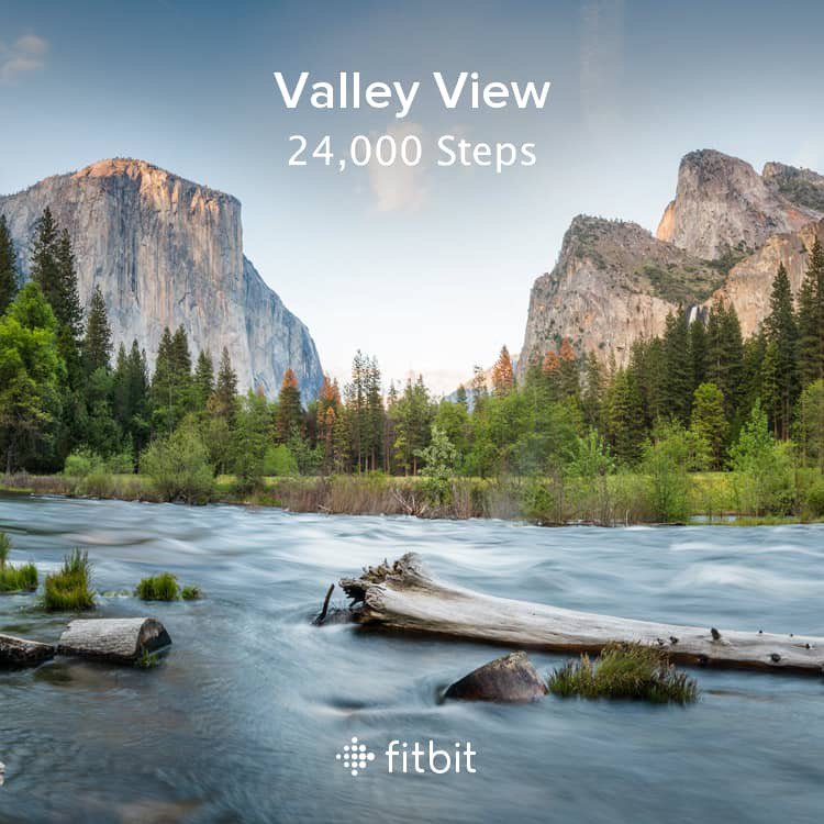 Sarah_drmatt1's tweet photo. I finished at Valley View with 35,800 steps on the Valley Loop #FitbitAdventure @Fitbit https://t.co/Tn0omqdVJi