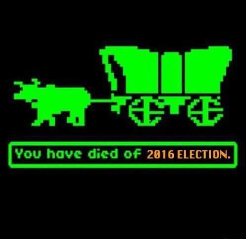 DemocracyStorm's tweet photo. Thread: Yes, it is time to Do Something.
It’s been almost a year since the values of our country were turned upside down.
At first, I was in denial. Then anger fueled my need to push back and I found #TheResistance.
Anger can’t sustain action. Determination can. /1 https://t.co/A9tRu9K7ZG