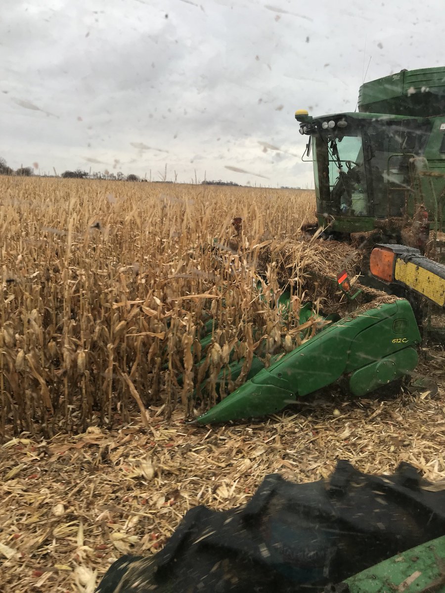 jmgoblish99's tweet photo. This farm has never yield over 200bu/a but you throw DKC53-56 out here and it’ll do 214! @Asgrow_DEKALB #MyFarmMyYield #yieldhunt17 #Contest https://t.co/Cye33SWYnn