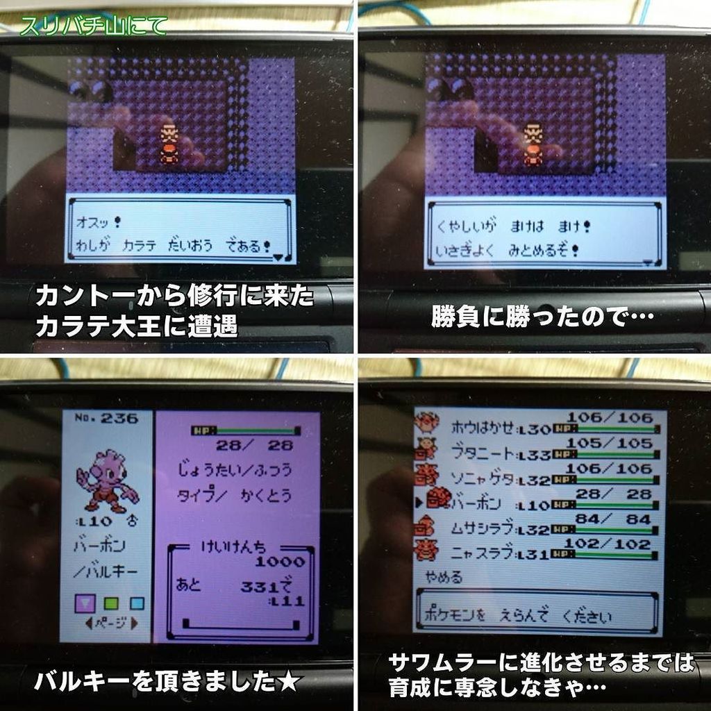 Takumi Every Mistake Raises You Up 昨晩の ポケモン金銀 金銀 スリバチ山を散策し カラテ大王と戦って バルキー をget 山の中でかなり迷った サワムラー に進化させる予定 T Co 5k8o2szcxa T Co Xqo2btm8nj Twitter