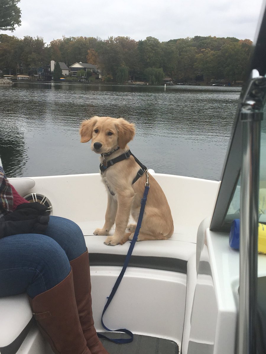 Perfect fall weekend spent with <a href="/marissakjo/">Marissa O’Gara</a> and Ellie Mae.