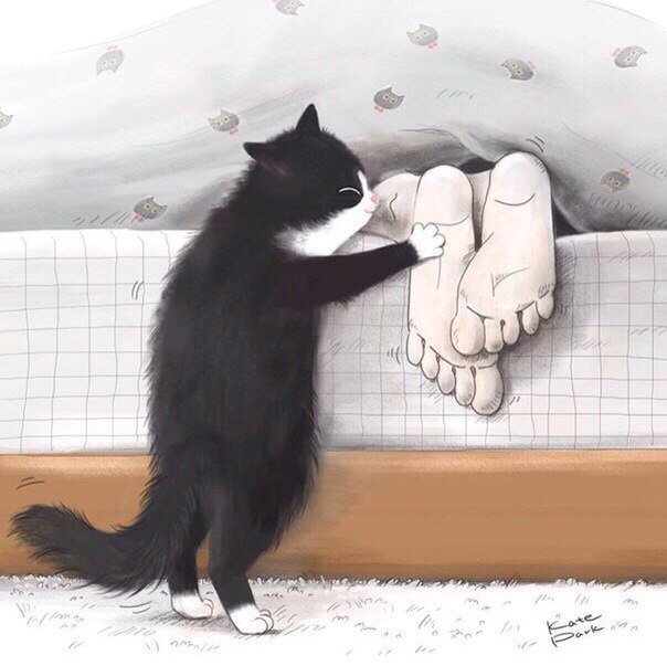 Прикольные картинки с котиком доброе утро, новый