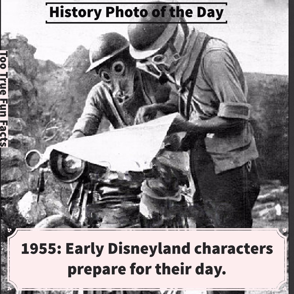Too True Fun Facts on Twitter "History Photo of the Day. 