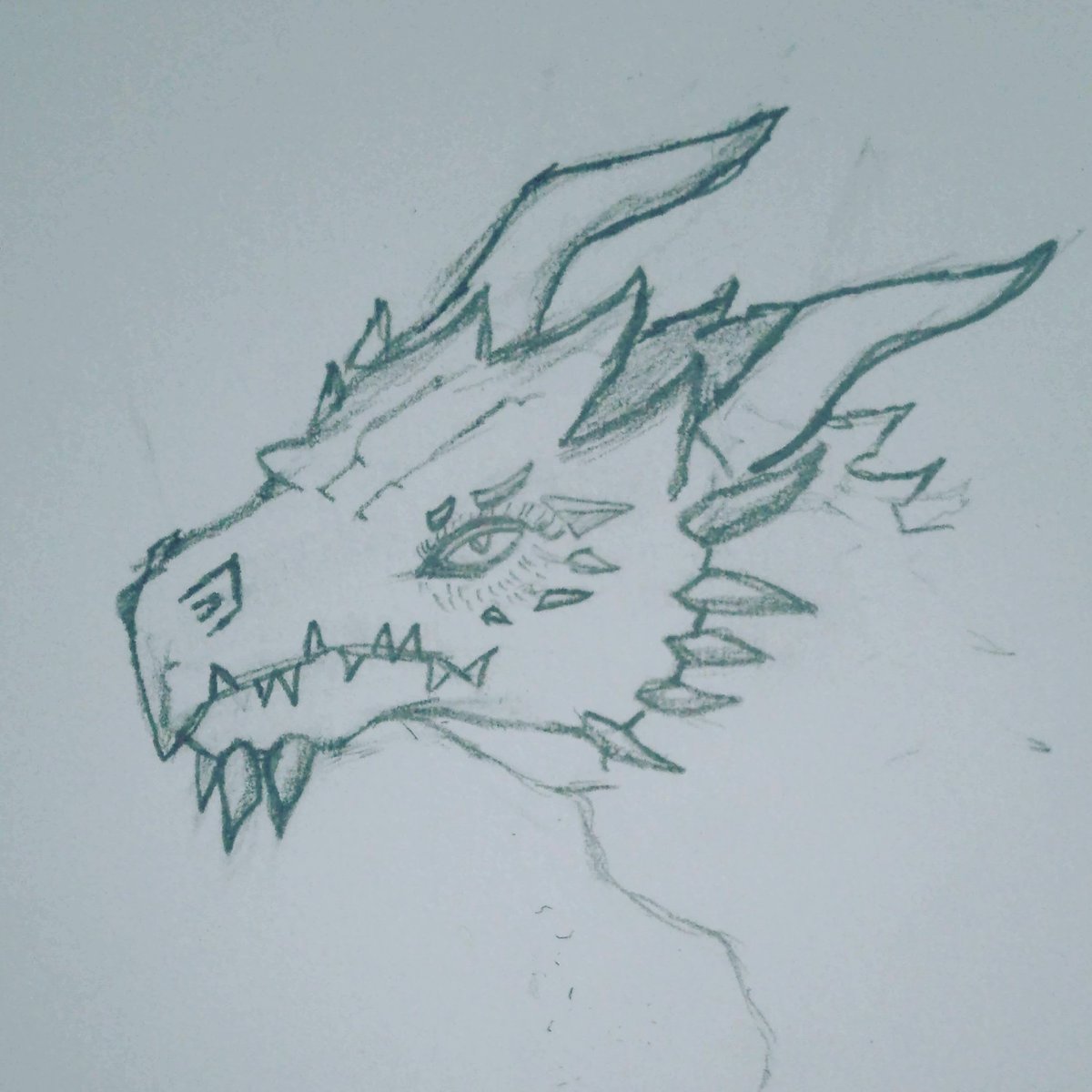 SkulduggeryX44's tweet photo. Lol found myself drawing a Dragon
#drawing
#dragon
#SkullyArt https://t.co/FPiAtd3LxP