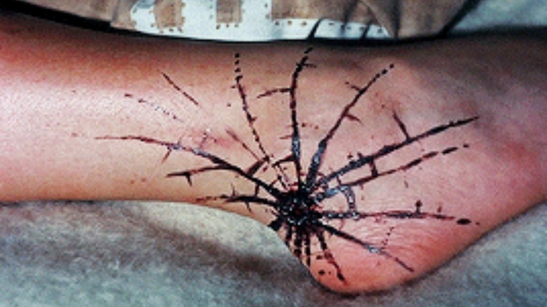 AestheticHorror's tweet image. The Evil Dead (1981)