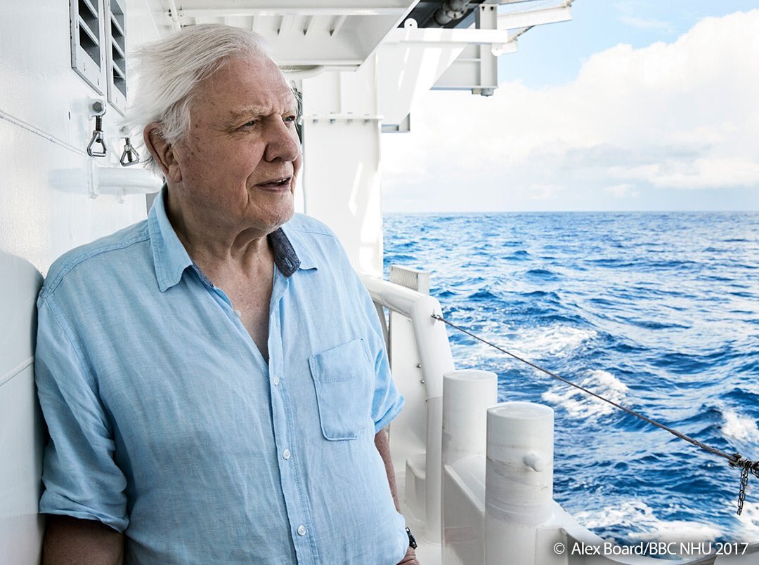 "The health of our oceans is under threat. They’re changing at a faster rate than ever before in human history." - Attenborough
#BluePlanet2