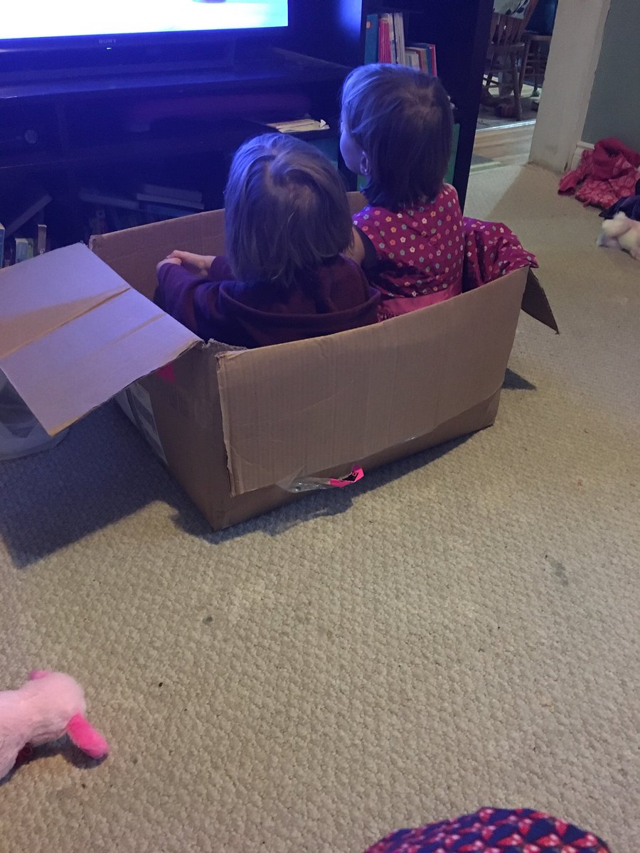 MimiTwinMama's tweet photo. Don’t know if they could sit closer to the TV... why is this a thing for kids?#watchingtv #kidsAndboxes https://t.co/SnezC2bEhv