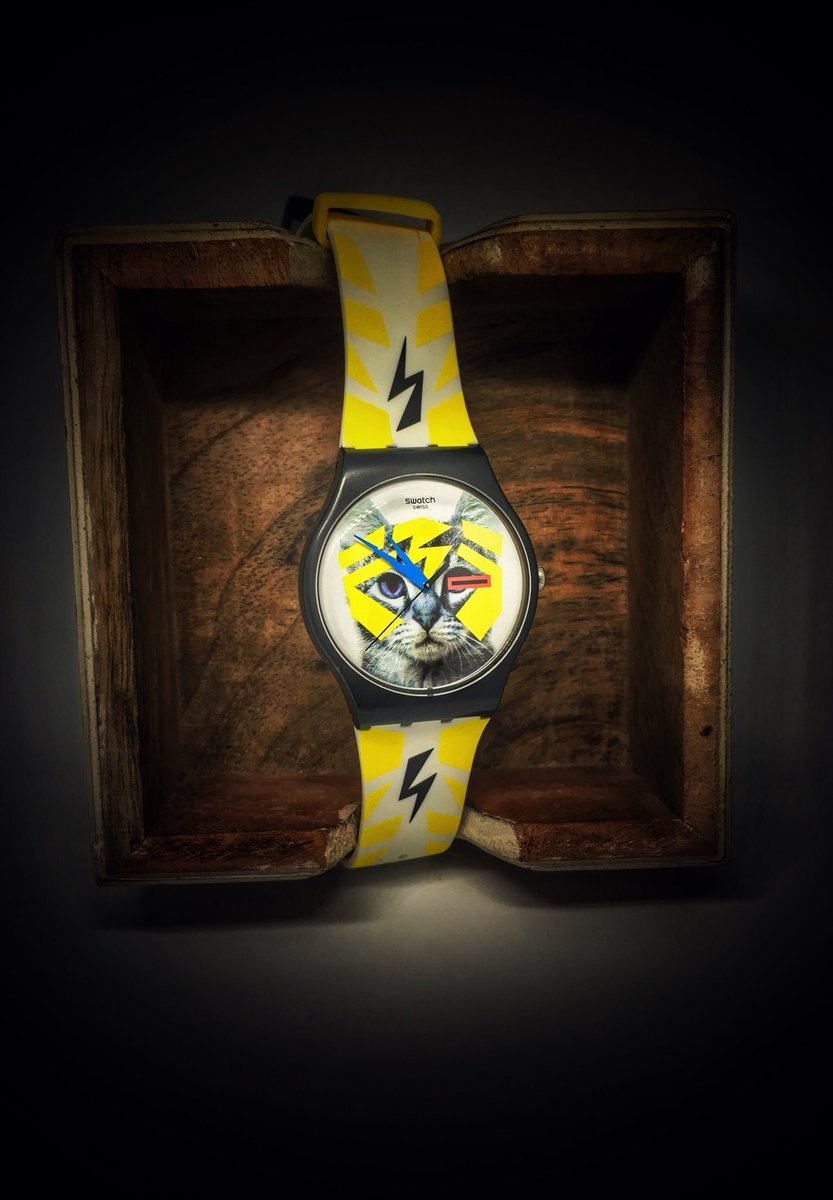 _DzO_DzO_'s tweet photo. #swatch #electrochat #catwatch #photohobby #swatchelectrochat https://t.co/eTaQ3RJNxC