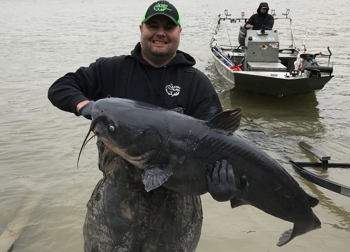 whiskerwear_'s tweet photo. #catfishlife #getyourcatfishon https://t.co/p1p9O1YB13
