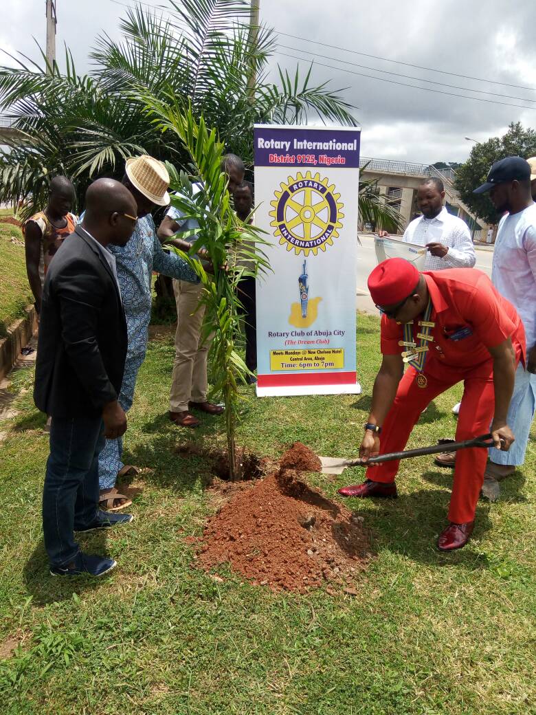 rcabujacity's tweet image. Tree planting project by the Rotary club of Abuja City.going green