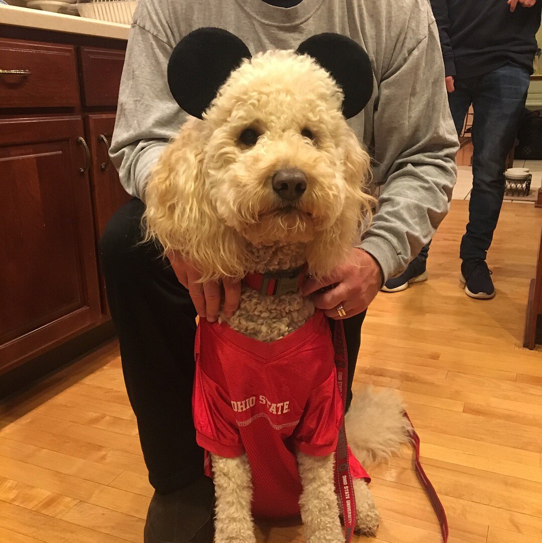 murrayscarlet1's tweet photo. Ready to chase URCHINS off my porch!! #Halloween2017 #trickortreat 👻☠️ https://t.co/io59u0Dcqs